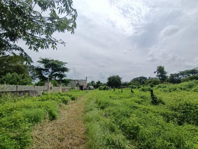 Rancho en venta en Temax, Yucatán