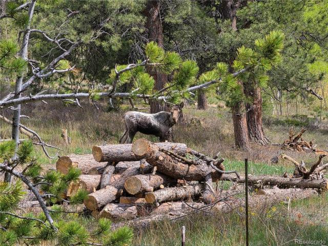 House for sale in Black Hawk, Colorado