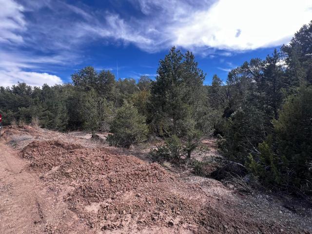 Land for sale in Placitas, New Mexico
