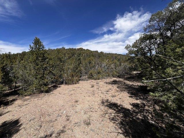 Land for sale in Placitas, New Mexico