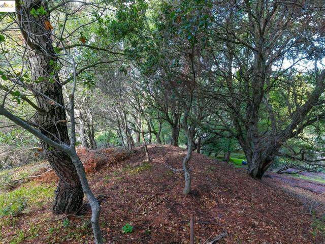 Land for sale in Orinda, California