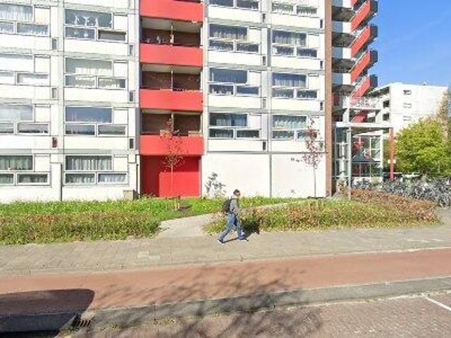 Appartement te huur in Paddepoel-Noord, Groningen