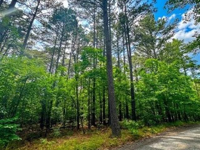 Land for sale in Broken Bow, Oklahoma