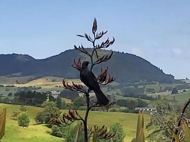 Property for sale in Maungaturoto, Northland