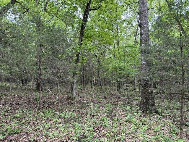 Land for sale in Ark