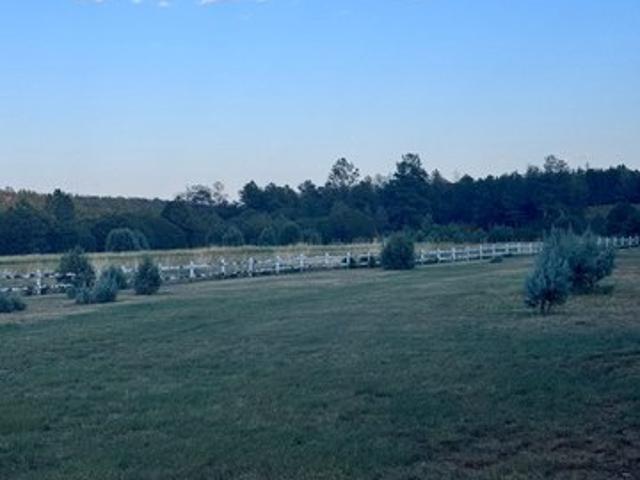 Land for sale in Timberon, New Mexico