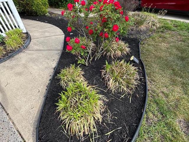Property for rent in Mount Laurel, New Jersey