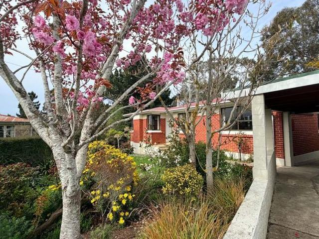 House for rent in Saint Clair Park, Dunedin