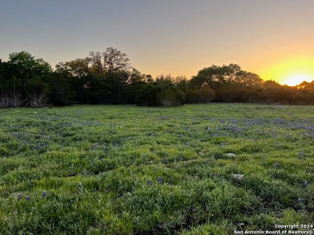 Land for sale in Pipe Creek, Texas