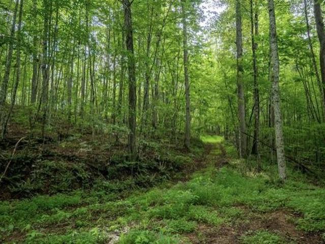 Land for sale in Zoe, Kentucky