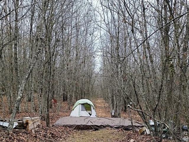 Land for sale in Tennessee