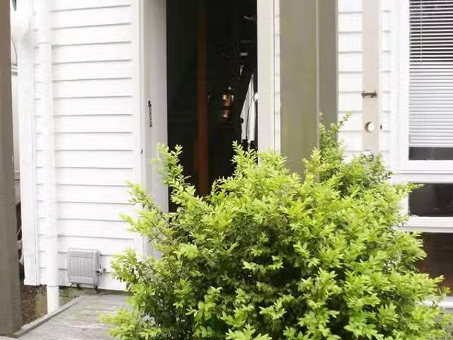 House for rent in Matata, Wellington