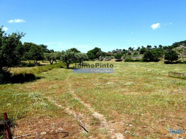 Terreno venda em Guarda, Figueira De Castelo Rodrigo