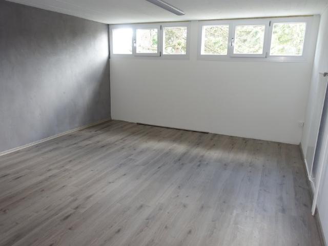 Apartment mieten in La Chaux-de-Fonds