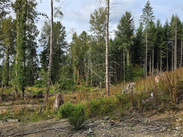 Land for sale in Buckley, Pierce County