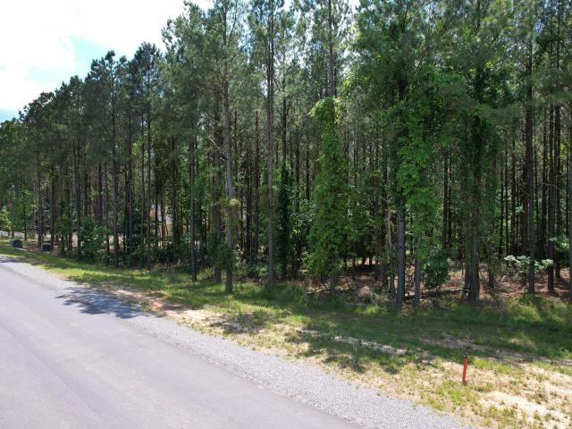 Land for sale in Tennessee