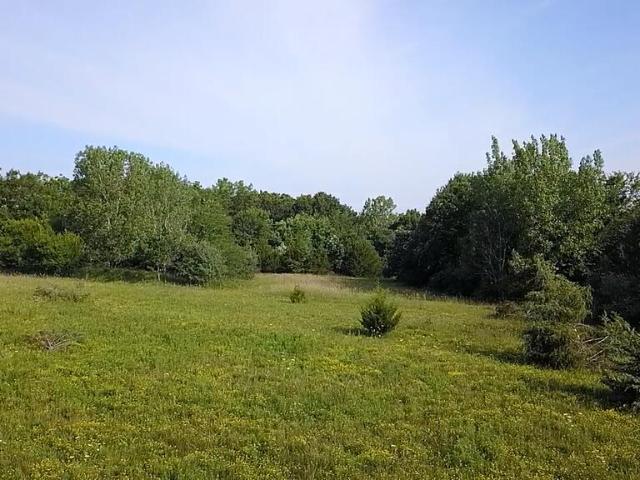 Land for sale in Adair, Missouri
