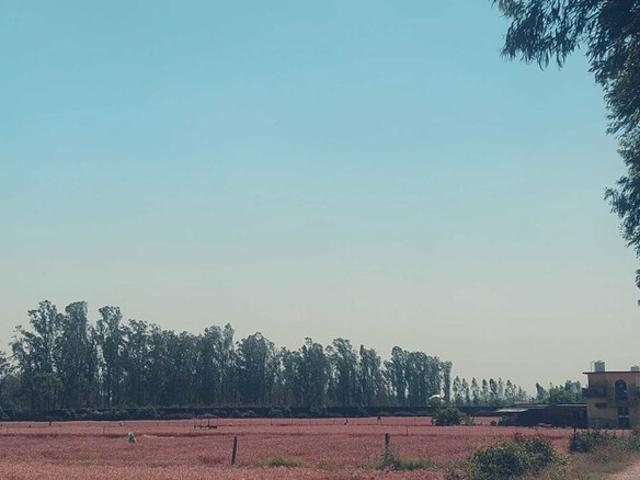 Land for sale in Uttarakhand