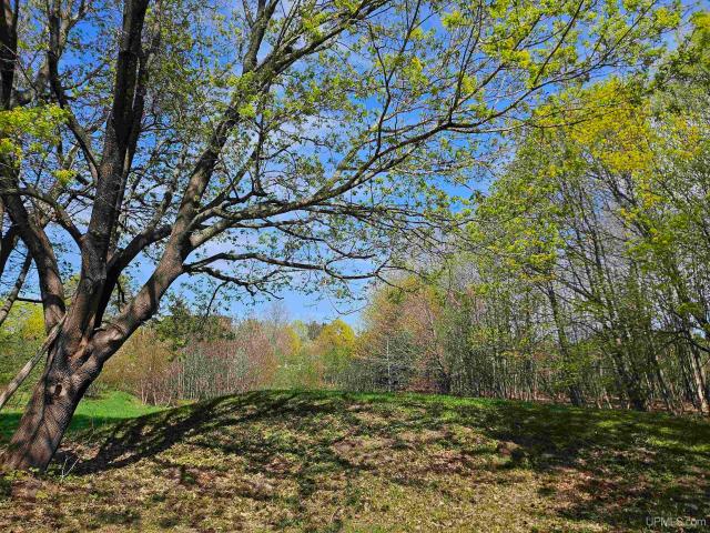 House for sale in Houghton, Michigan