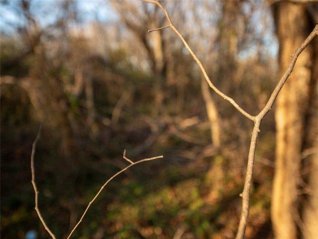 Land for sale in Texas