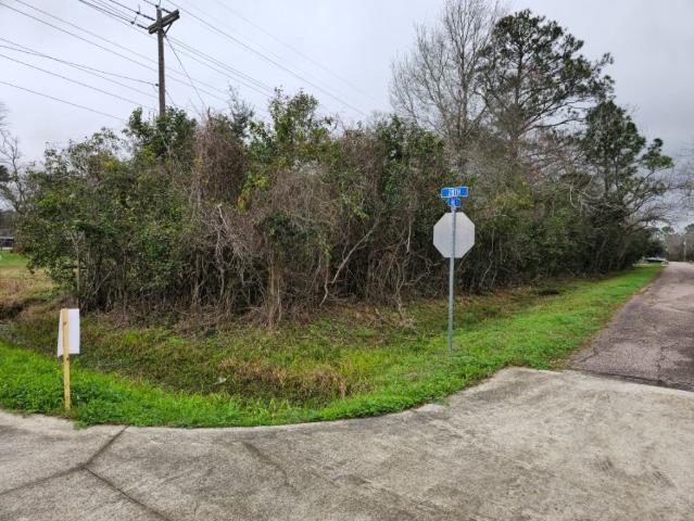 Land for sale in Dickinson, Texas