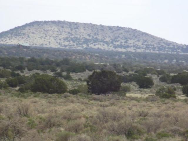 Land for sale in Williams, Arizona