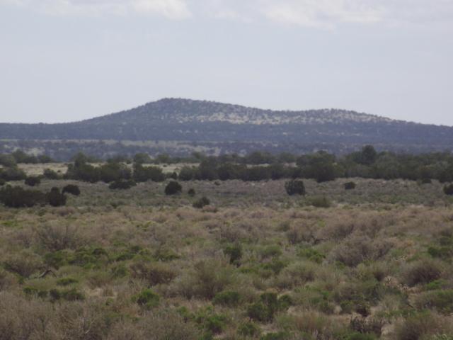 Land for sale in Williams, Arizona