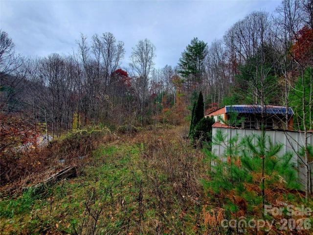 Land for sale in Spruce Pine, North Carolina