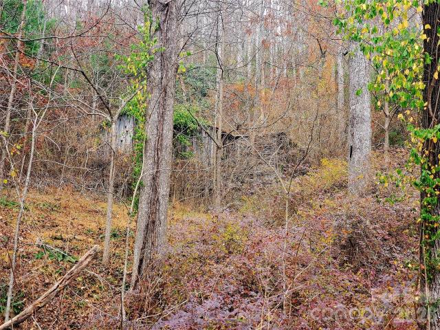 Land for sale in Spruce Pine, North Carolina