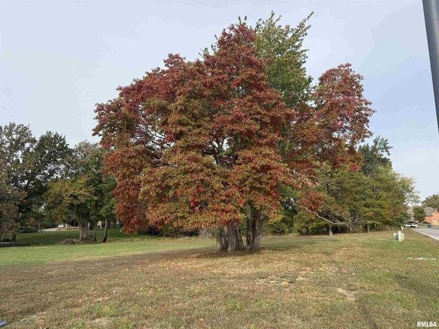 Land for sale in Marion, Williamson County