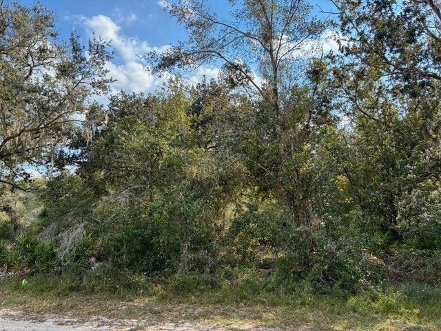 Land for sale in Indian Lake Estates, Florida