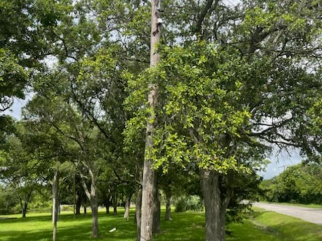 Land for sale in La Marque, Texas