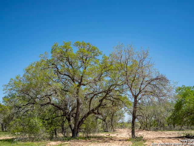 Land for sale in Medina, Texas