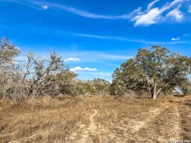 Land for sale in Medina, Texas