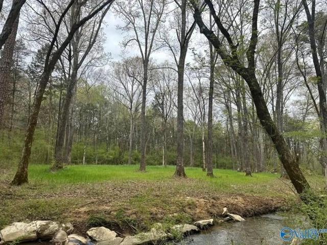 Land for sale in Danville, Alabama