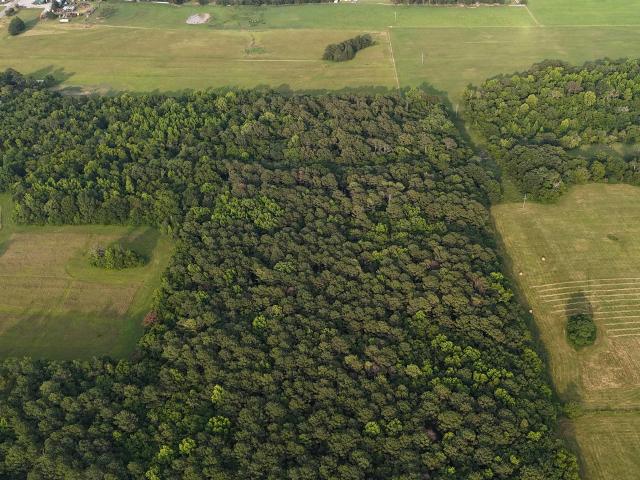 Land for sale in Danville, Alabama
