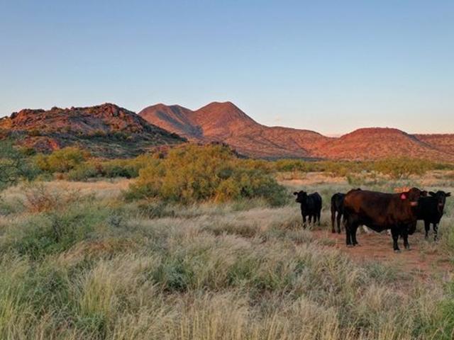 House for sale in Brewster, Texas