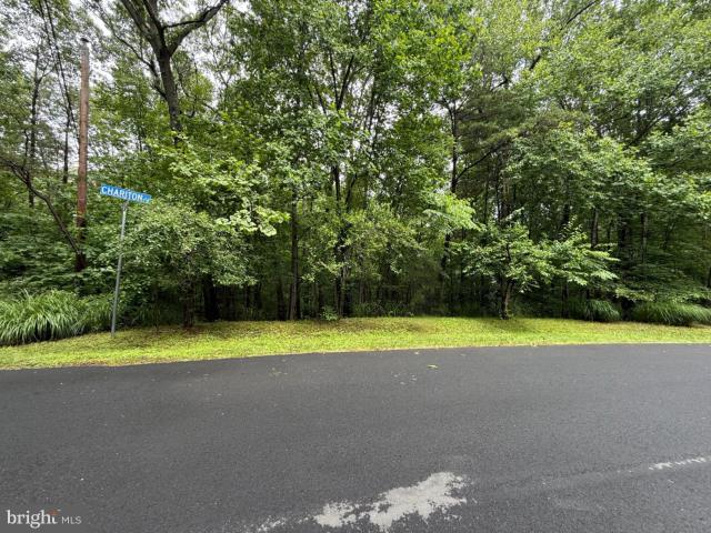 Land for sale in Virginia