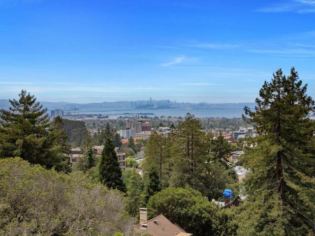 Apartment for rent in Berkeley, California