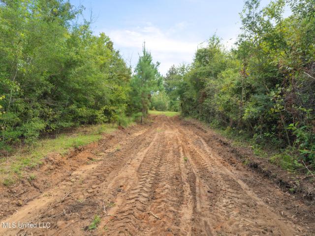 Land for sale in Magnolia, Mississippi