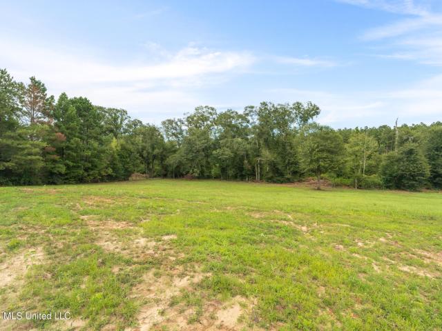 Land for sale in Magnolia, Mississippi