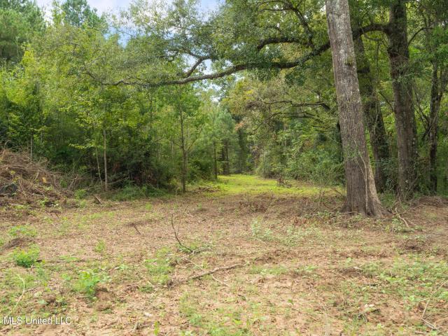 Land for sale in Magnolia, Mississippi