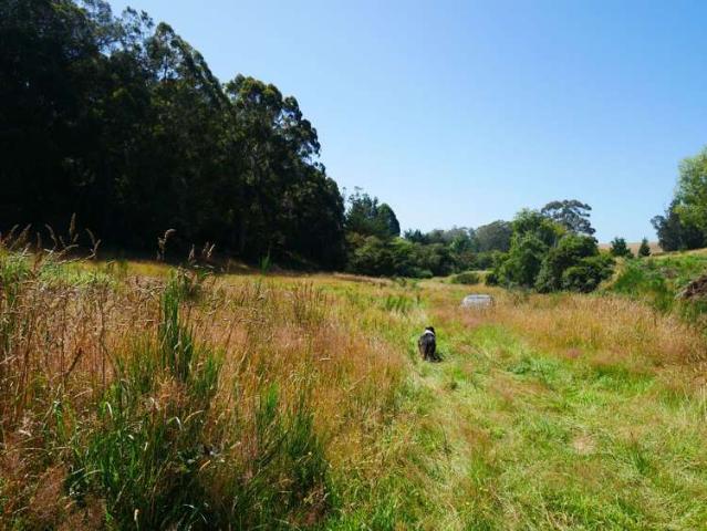 Property for sale in Otakou
