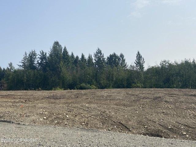 Land for sale in Wasilla