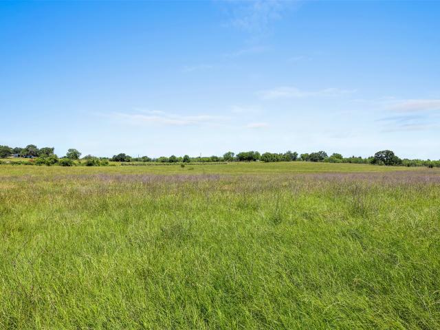 Land for sale in Milam, Texas