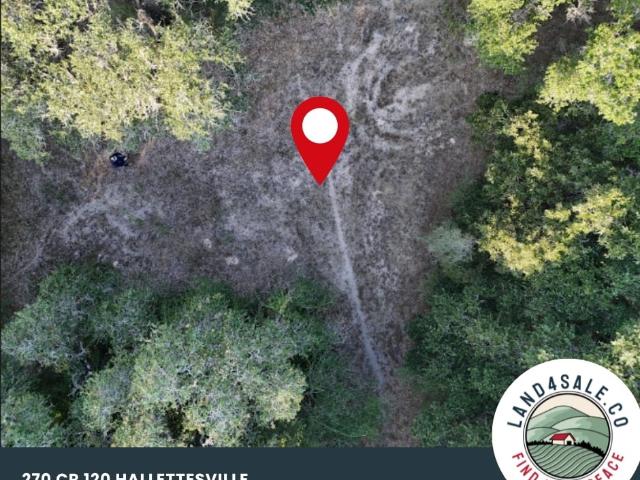 Land for sale in Hallettsville, Lavaca County