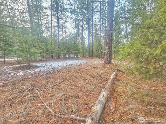 Land for sale in Chewelah, Washington