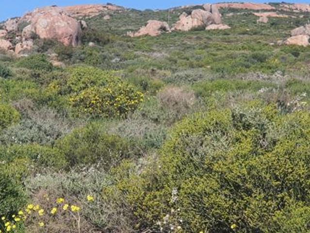 Land for sale in Western Cape