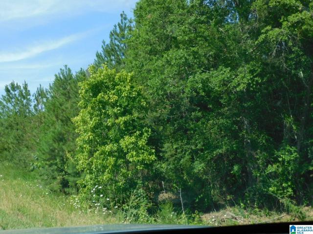 Commercial for sale in Calera, Alabama