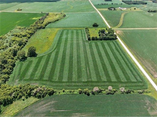 Land for sale in Hayfield, Minnesota